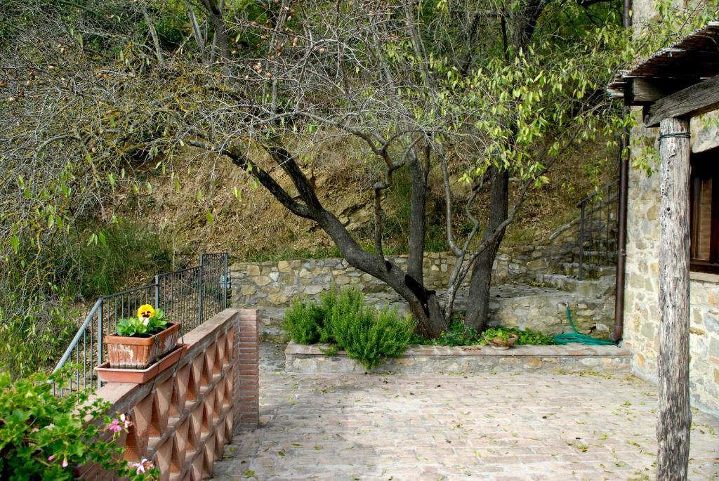 Podere Monte Petreto San Savino  Стая снимка