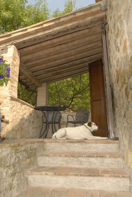 Podere Monte Petreto San Savino  Стая снимка